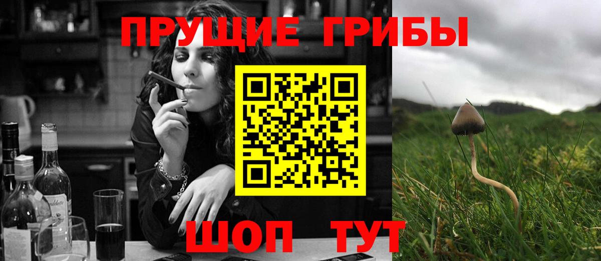 Псилоцибиновые грибы Psilocybe Ханты-Мансийск